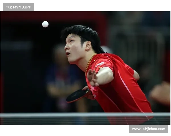 中国乒乓球队备战混合团体世界杯，樊振东伤愈归队